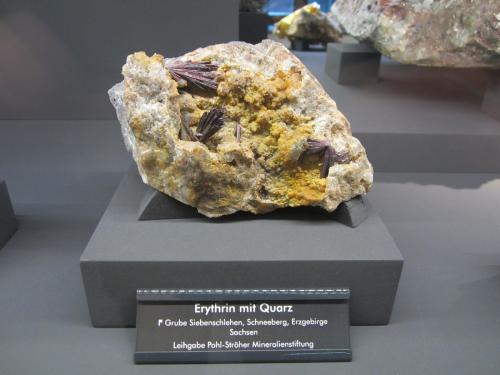 Erythrite<br />Mina Siebenschlehen, Pozo 10, Neustädtel, Distrito Schneeberg, Erzgebirgskreis, Sajonia/Sachsen, Alemania<br />Specimen size ~ 12 cm<br /> (Author: Tobi)