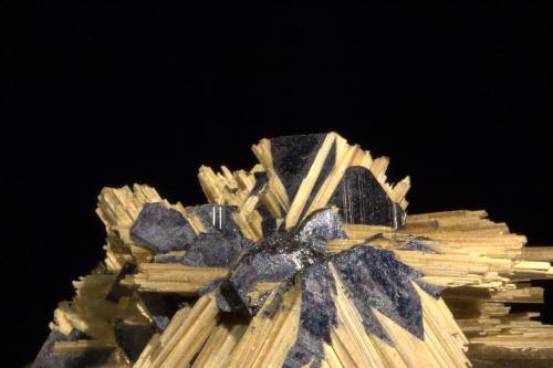 Rutile and Hematite<br />Ibitiara, Bahia, Northeast Region, Brazil<br />FOV 24 mm<br /> (Author: Adrian Pripoae)