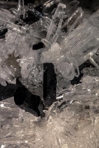 Hubnerite and Quartz<br />Mundo Nuevo mining area, Mundo Nuevo, Huamachuco, Sánchez Carrión Province, La Libertad Department, Peru<br />FOV 20 mm<br /> (Author: Adrian Pripoae)