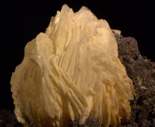 Barite and Goethite<br />Mi Marujita Mine, Cabezo de las Norias, De Enmedio Range, Puerto Lumbreras, Comarca Alto Guadalentín, Region of Murcia (Murcia), Spain<br />FOV 16 mm<br /> (Author: Adrian Pripoae)