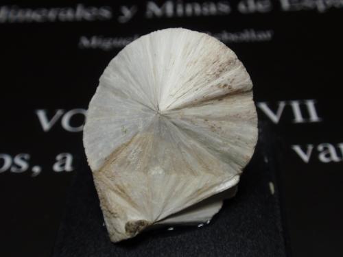 Escolecita<br />Embalse de Canelles, Estopiñán del Castillo, Comarca La Ribagorza, Huesca, Aragón, España<br />25x30 mm<br /> (Autor: Ignacio)