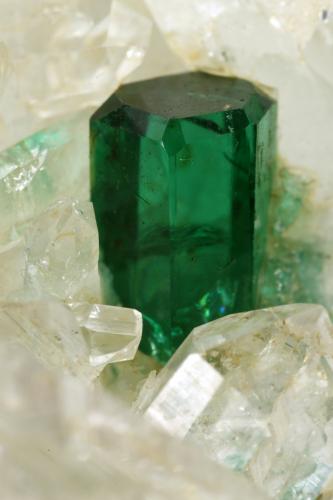 Beryl (variety emerald), Quartz<br />Peñas Blancas Mine, Municipio San Pablo de Borbur, Western Emerald Belt, Boyacá Department, Colombia<br />40mm across, xl=7mm<br /> (Author: Fiebre Verde)