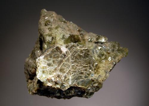 Eastonite<br />C. K. Williams & Co. Quarry, Chestnut Hill, Easton, Northampton County, Pennsylvania, USA<br />9.5 x 11.0 cm<br /> (Author: crosstimber)
