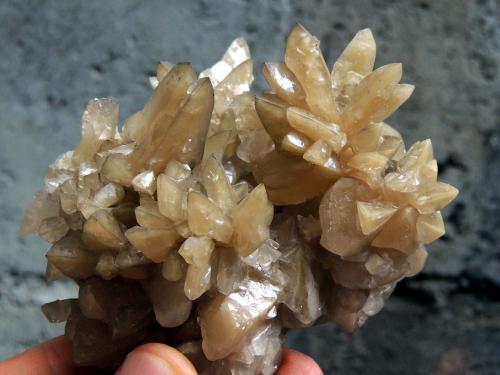 Calcita<br />San Antonio Mine (San Antonio el Grande Mine), East Camp, Santa Eulalia District, Municipio Aquiles Serdán, Chihuahua, Mexico<br />9 x 8.9 x 5.2 centimetros<br /> (Autor: Ricardo Melendez)