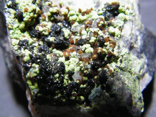 Chenevixite, Ferrilotharmeyerite and Olivenite<br />Mina Tsumeb, Tsumeb, Región Otjikoto, Namibia<br />40x35x30mm<br /> (Author: Heimo Hellwig)