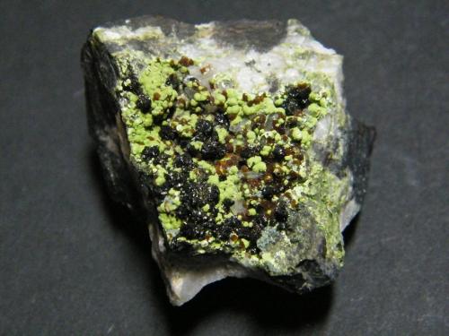 Chenevixite, Ferrilotharmeyerite and Olivenite<br />Mina Tsumeb, Tsumeb, Región Otjikoto, Namibia<br />40x35x30mm<br /> (Author: Heimo Hellwig)