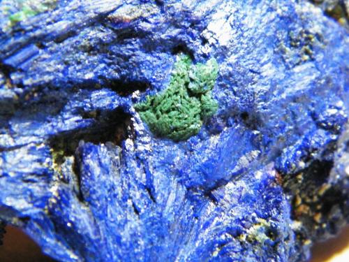 Azurite<br />Tsumeb Mine, Tsumeb, Otjikoto Region, Namibia<br />95x60x40mm<br /> (Author: Heimo Hellwig)