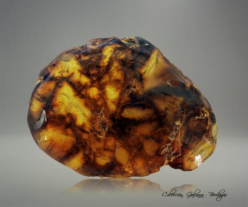 ámbar<br />Mina Palo Quemado, Loma de Palo Quemado, Cordillera Septentrional, Santiago, Cibao, Región Norcentral, República Dominicana<br />40 x 35 x 10 mm.<br /> (Autor: Rafael Galiana)