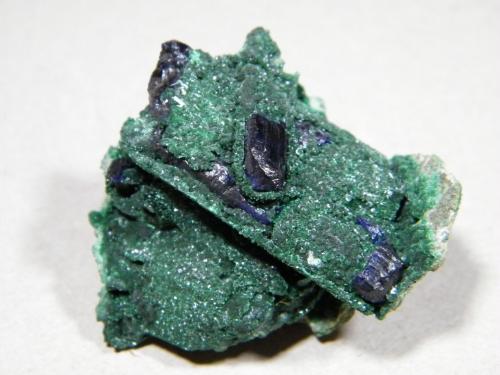 Azurite and Malachite<br />Tsumeb Mine, Tsumeb, Otjikoto Region, Namibia<br />40x40x25mm<br /> (Author: Heimo Hellwig)