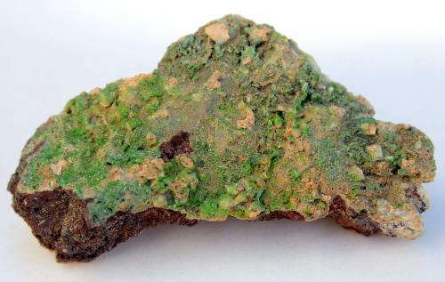 Piromorfita<br />Florisa Mine, Peña de la Sal, Casas de Monleón, Endrinal, Comarca Entresierras, Salamanca, Castile and León, Spain<br />8cm por 5cm<br /> (Autor: canada)