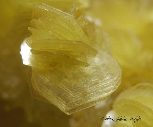 Lepidolita<br />Itinga, Vale do Jequitinhonha, Minas Gerais, Brasil<br />Encuadre de la fotografía 11 mm.<br /> (Autor: Rafael Galiana)