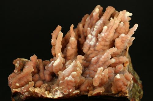 Quartz (variety chalcedony)<br />Guanajuato, Mexico<br />16.3 x 12 x 11.8 centimeters<br /> (Author: Ricardo Melendez)