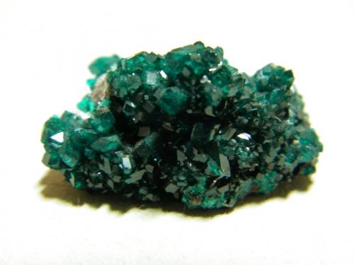 Dioptase<br />Tsumeb Mine, Tsumeb, Otjikoto Region, Namibia<br />25x15x15mm<br /> (Author: Heimo Hellwig)