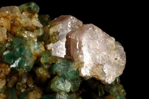 Beryl (variety emerald), Albite (variety cleavelandite), Calcite, Apatite<br />Colombia<br />37x18x33mm<br /> (Author: Fiebre Verde)