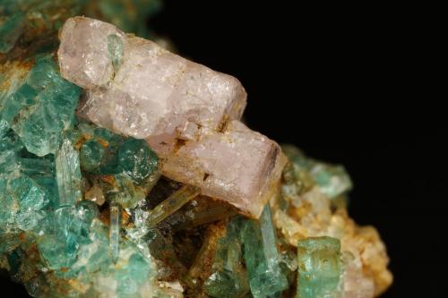 Beryl (variety emerald), Albite (variety cleavelandite), Calcite, Apatite<br />Colombia<br />37x18x33mm<br /> (Author: Fiebre Verde)