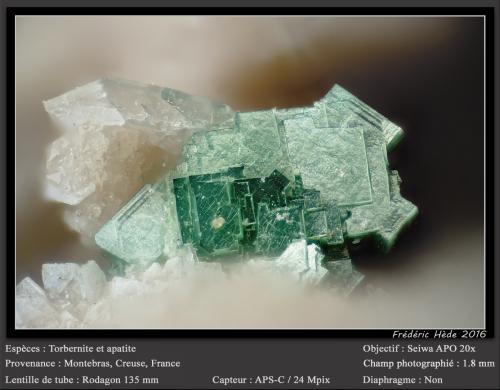 Torbernite and Apatite (Group)<br />Minas Montebras, Montebras, Soumans, Boussac, Guéret, Creuse, Nouvelle-Aquitaine, Francia<br />1.8 mm<br /> (Author: ploum)