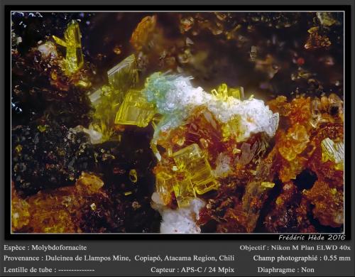 Molybdofornacite<br />Dulcinea de Llampos Mine, Cachiyuyo de Llampos, Copiapó Province, Atacama Region, Chile<br />0.55 mm<br /> (Author: ploum)