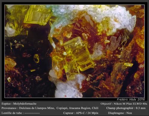 Molybdofornacite<br />Dulcinea de Llampos Mine, Cachiyuyo de Llampos, Copiapó Province, Atacama Region, Chile<br />0.3 mm<br /> (Author: ploum)