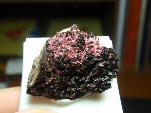 Cuprita (variedad calcotriquita)<br />China<br />30x20 mm<br /> (Autor: Ignacio)