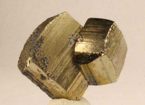 Pyrite<br />Municipio Tatatila, Veracruz (Veracruz de Ignacio de la Llave), Mexico<br />1.6 x 1.5 x 1 centimeters<br /> (Author: Ricardo Melendez)