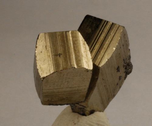 Pyrite<br />Municipio Tatatila, Veracruz (Veracruz de Ignacio de la Llave), México<br />1.6 x 1.5 x 1 centimeters<br /> (Author: Ricardo Melendez)