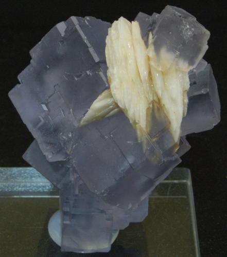 Fluorita y Barita<br />La Cabaña, Valdelmar, zona minera de Berbes, Berbes, Ribadesella, Comarca Oriente, Principado de Asturias (Asturias), España<br />55 x 35 x 25 mm<br /> (Autor: Nacho Garcia Alonso)