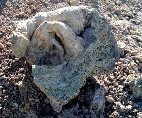 Pumita<br />Roque de los Muchachos, Garafia, La Palma, Santa Cruz de Tenerife Province, Canary Islands, Spain<br />40cm por 40cm.<br /> (Autor: canada)