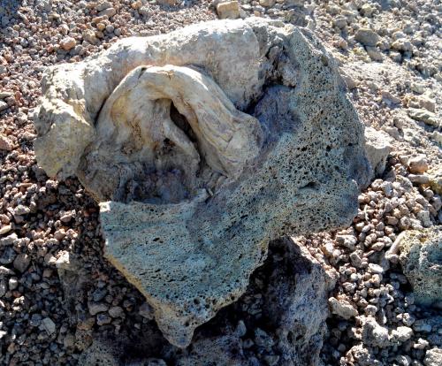 Pumita<br />Roque de los Muchachos, Garafia, La Palma, Provincia de Santa Cruz de Tenerife, Canarias, España<br />40cm por 40cm.<br /> (Autor: canada)