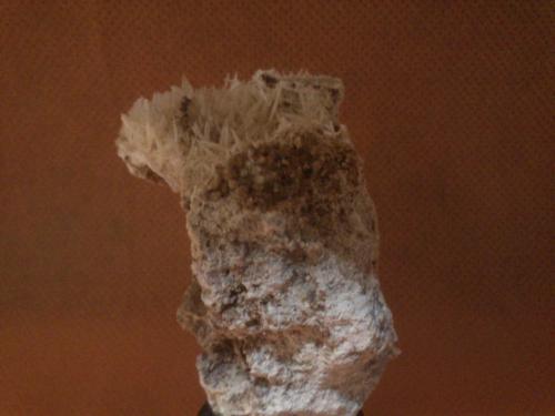 Celestina<br />Minerama II claim, Puente Tablas, Jaén city, Jaén, Comarca Metropolitana de Jaén, Andalusia, Spain<br />5 x 3,5 x 3 cm<br /> (Autor: Jose Mª Valderrama Diaz)