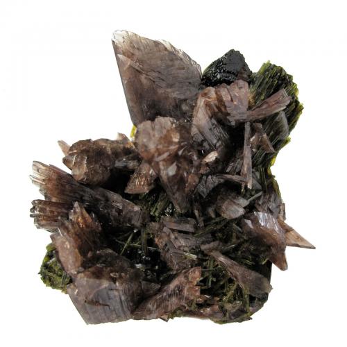 Axinite-(Mn), Epidote<br />Canta, Distrito Canta, Provincia Canta, Departamento Lima, Perú<br />74mm x 66mm x 59mm. Major axinite crystal: 20 mm wide<br /> (Author: Carles Millan)