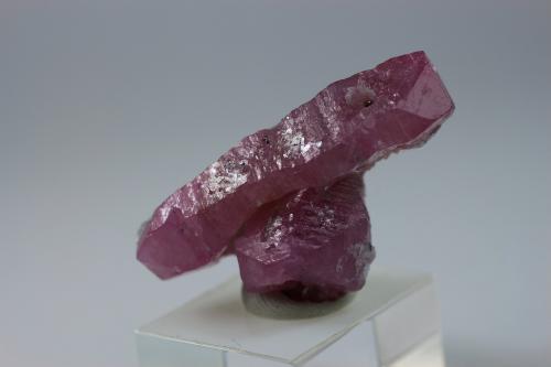 Corundum (variety ruby)<br />Nagar, Hunza Valley, Nagar District, Gilgit-Baltistan (Northern Areas), Pakistan<br />2.8 x 1.5 x 1 centimeters<br /> (Author: Ricardo Melendez)