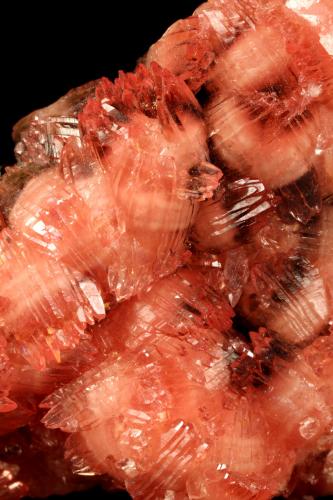 Rhodochrosite, Manganite<br />N'Chwaning I Mine, N'Chwaning mining area, Kuruman, Kalahari manganese field (KMF), Northern Cape Province, South Africa<br />64x37x27mm<br /> (Author: Fiebre Verde)