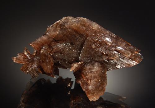 Axinite-(Mn)<br />Canta, Canta District, Canta Province, Lima Department, Peru<br />3.1 x 6.2 cm<br /> (Author: crosstimber)