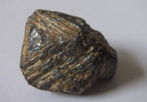 Magnetita<br />Región Vakinankaratra, Madagascar<br />20 x 17 mm.<br /> (Autor: prcantos)