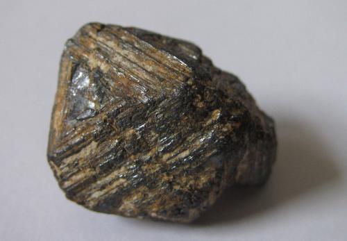 Magnetita<br />Región Vakinankaratra, Provincia Antananarivo, Madagascar<br />20 x 17 mm.<br /> (Autor: prcantos)