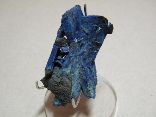 Azurite<br />Tsumeb Mine, Tsumeb, Otjikoto Region, Namibia<br />40x60x15mm<br /> (Author: Heimo Hellwig)