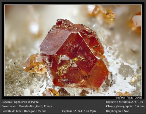 Sphalerite and Pyrite<br />Montdardier, Le Vigan, Departamento Gard, Occitanie, Francia<br />fov 3.6 mm<br /> (Author: ploum)
