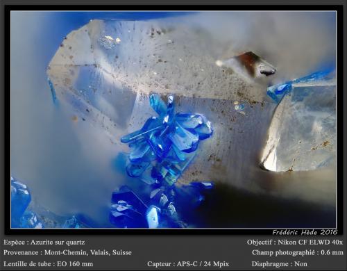 Azurite on Quartz<br />Mont Chemin, Martigny, Wallis (Valais), Switzerland<br />fov 0.6 mm<br /> (Author: ploum)