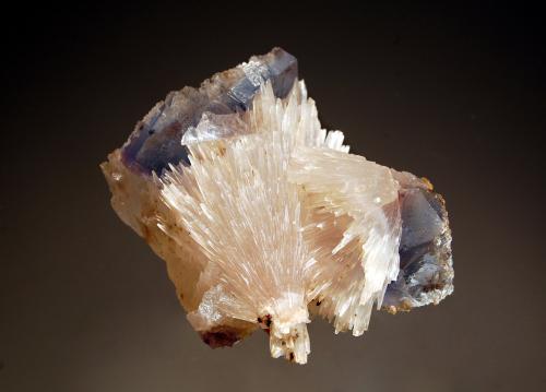 Strontianite<br />Mina Minerva I, Grupo Ozark-Mahoning, Sub-Distrito Cave-in-Rock, Condado Hardin, Illinois, USA<br />4.5 x 6.8 cm<br /> (Author: crosstimber)