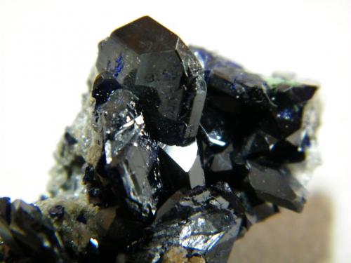 Azurite<br />Tsumeb Mine, Tsumeb, Otjikoto Region, Namibia<br />40x25x20mm<br /> (Author: Heimo Hellwig)