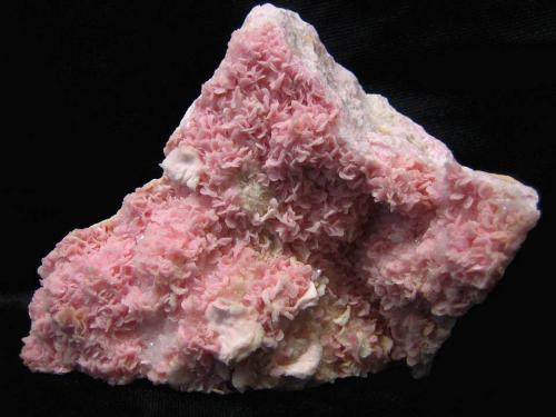 Rhodocrosite, Quartz and Calcite<br />Boldut Mine, Cavnic mining area, Cavnic, Maramures, Romania<br />11.5 x 9.5 cm<br /> (Author: Deyu)