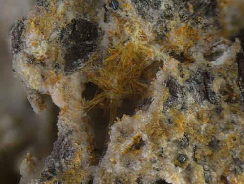 Yuanfuliita<br />Nuestra Señora del Carmen Mines, La Celia, Jumilla, Comarca Altiplano, Region of Murcia (Murcia), Spain<br />Campo de visión de 5 mm.<br /> (Autor: Antonio Carmona)