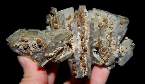 Siderite (variety spherosiderite) on Barite<br />Baia Sprie Mine, Baia Sprie, Maramures, Romania<br />9.5 x 4 cm<br /> (Author: Deyu)