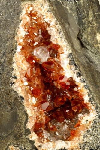 Rhodochrosite, Fluorite, Quartz, Goethite<br />Uchucchacua Mine, Oyón Province, Lima Department, Peru<br />115x110x50mm<br /> (Author: Fiebre Verde)