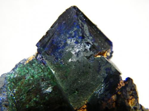 Azurite<br />Tsumeb Mine, Tsumeb, Otjikoto Region, Namibia<br />50x80x35mm<br /> (Author: Heimo Hellwig)