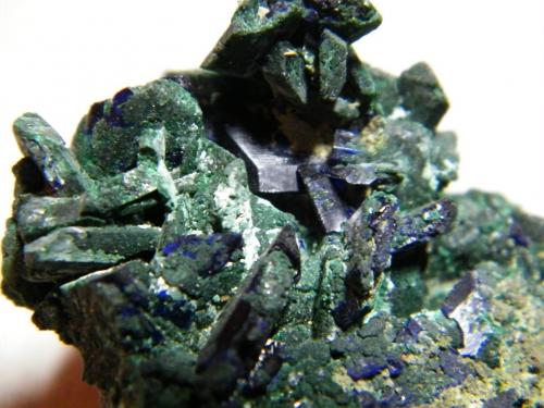 Azurite/Malachite<br />Tsumeb Mine, Tsumeb, Otjikoto Region, Namibia<br />45x45x35mm<br /> (Author: Heimo Hellwig)