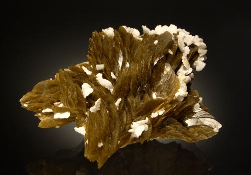 Siderite<br />Mina Kaiwu, Hezhang, Prefectura Bijie, Provincia Guizhou, China<br />5.8 x 8.1 cm<br /> (Author: crosstimber)