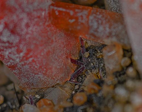 Rhodochrosite, Hübnerite<br />Santa Eulalia District, Municipio Aquiles Serdán, Chihuahua, Mexico<br />4.4 x 3.7 cm<br /> (Author: am mizunaka)