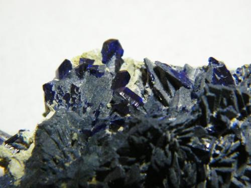 Azurite<br />Tsumeb Mine, Tsumeb, Otjikoto Region, Namibia<br />60x35x15mm<br /> (Author: Heimo Hellwig)