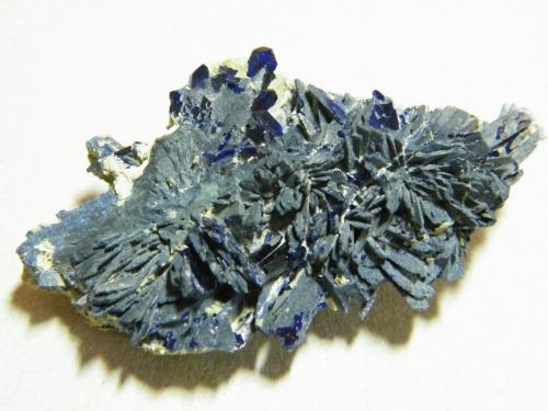 Azurite<br />Tsumeb Mine, Tsumeb, Otjikoto Region, Namibia<br />60x35x15mm<br /> (Author: Heimo Hellwig)